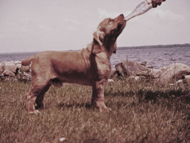 Photos 201 400 Monaghan 2008 12 06jpg  394